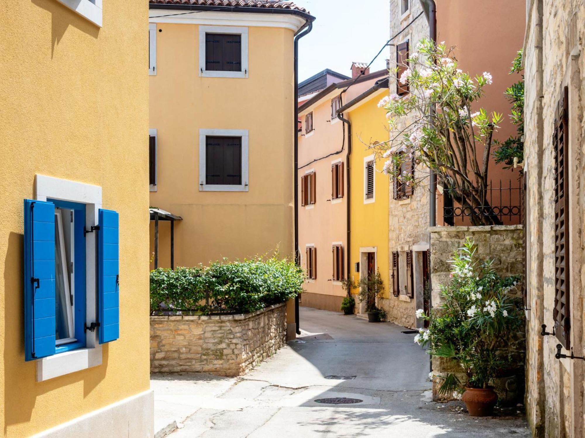Holiday Home Villa Joy By Interhome Novigrad Istria Eksteriør billede